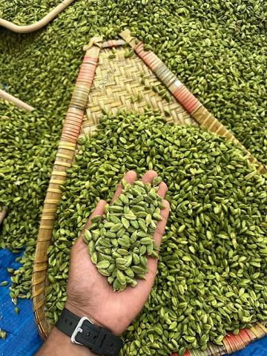 Cardamom